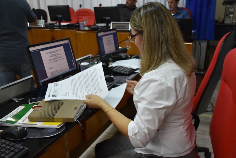 Clarice Viola e demais vereadores solicitam reparos no calçamento da Manoel Ribas